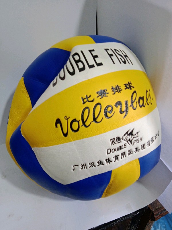 Volleyball ( Double Fish)