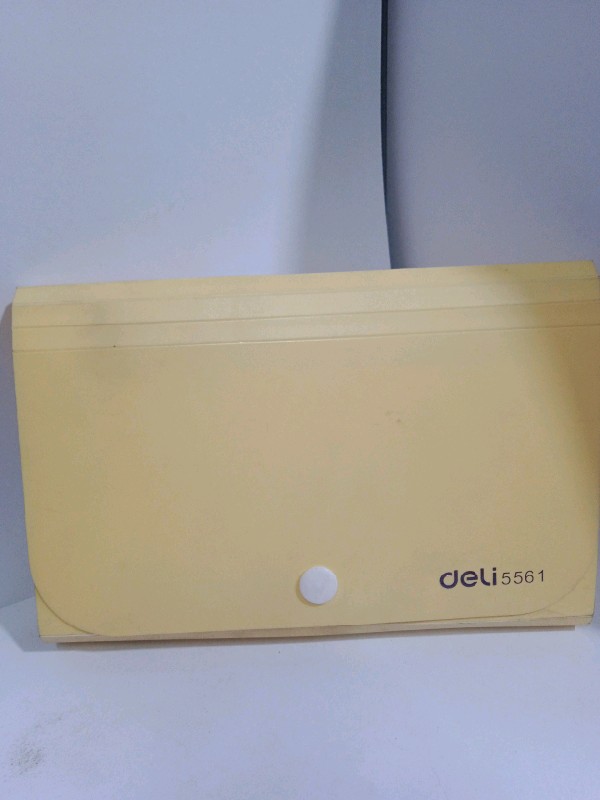 Mini Expanding File ( Deli)