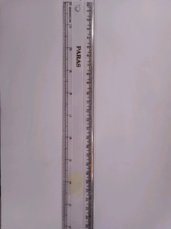 Paras Oxford Scale (30 cm)