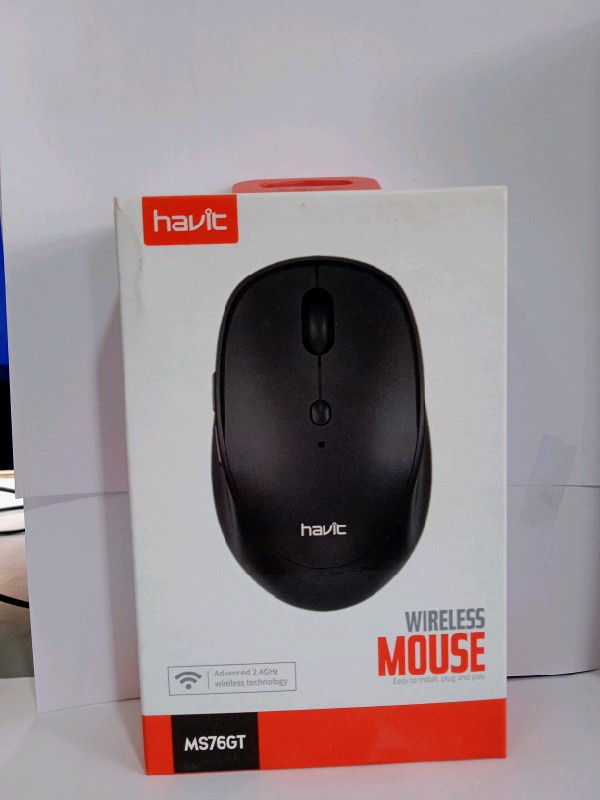 Havit Wireless mouse (MS76GT)