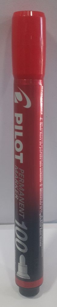 Permanent Marker 100 Pilot