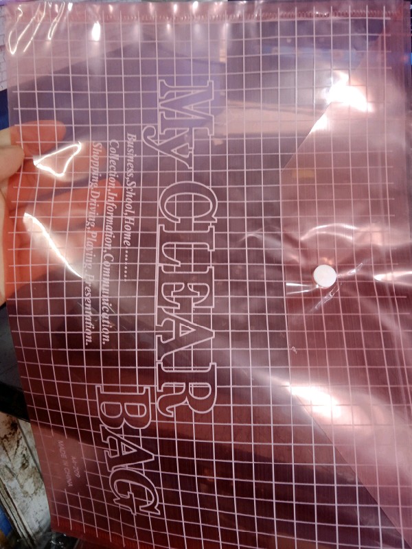 Clear Bag A4-209